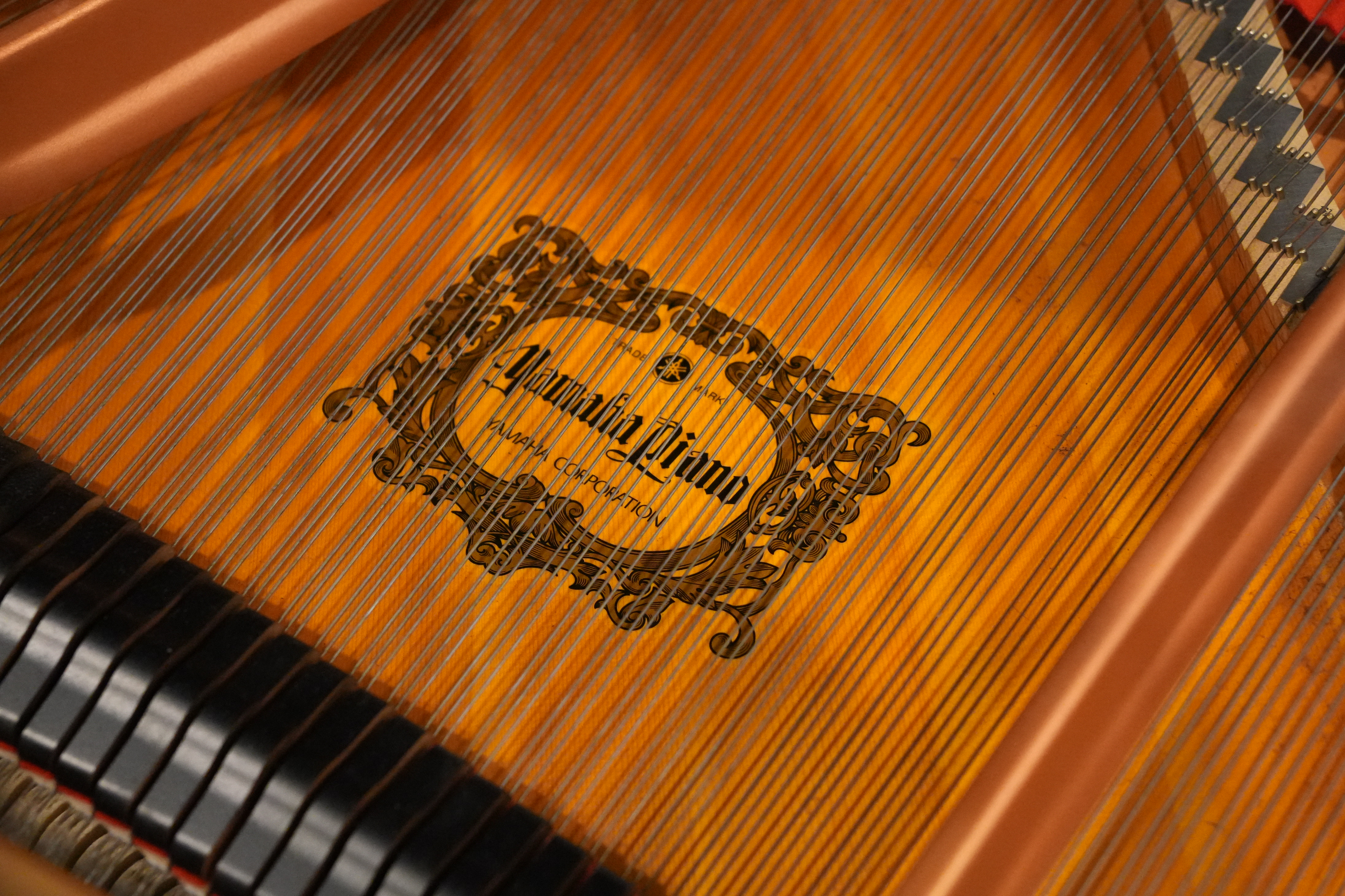 Yamaha C7 Grand Piano in Black Polyester – Gallery image – Roberts Pianos Houston