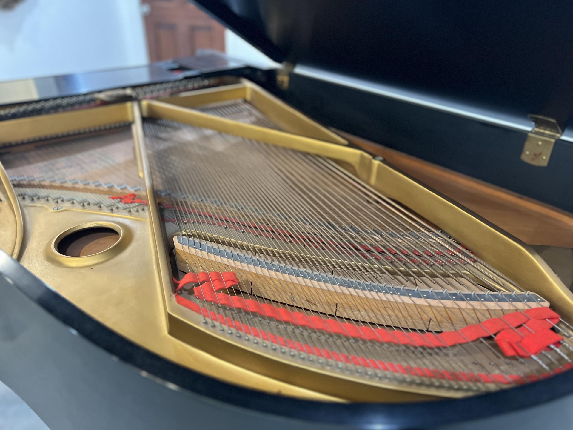 Piano detail
