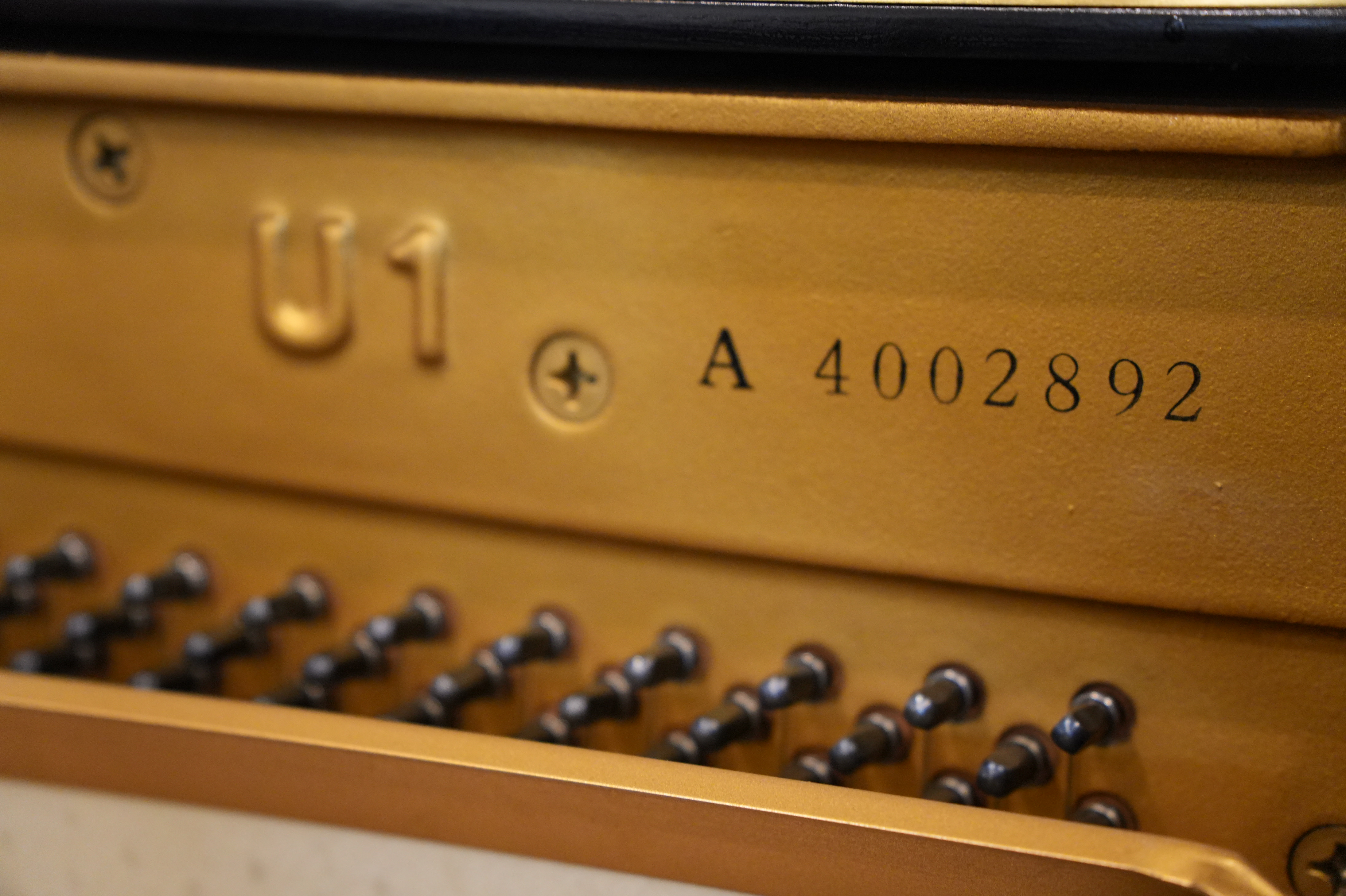 Yamaha U1