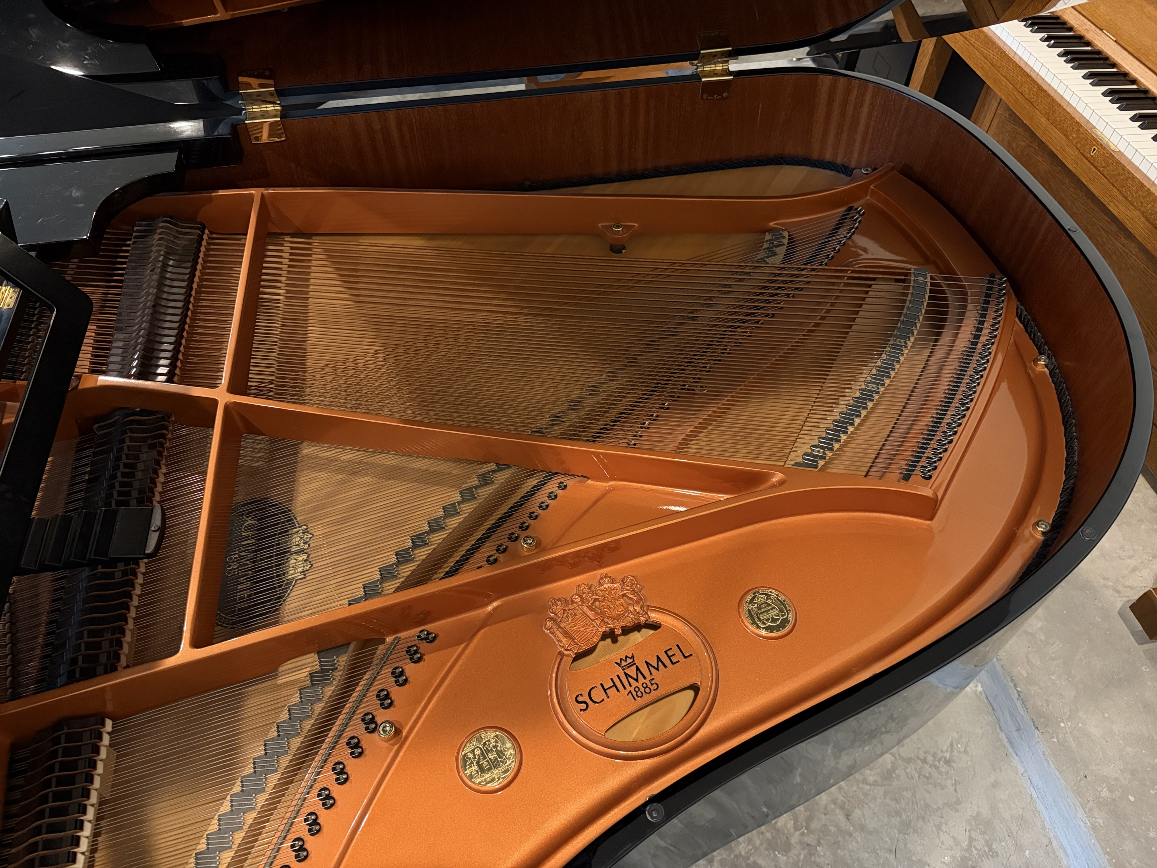 Piano detail