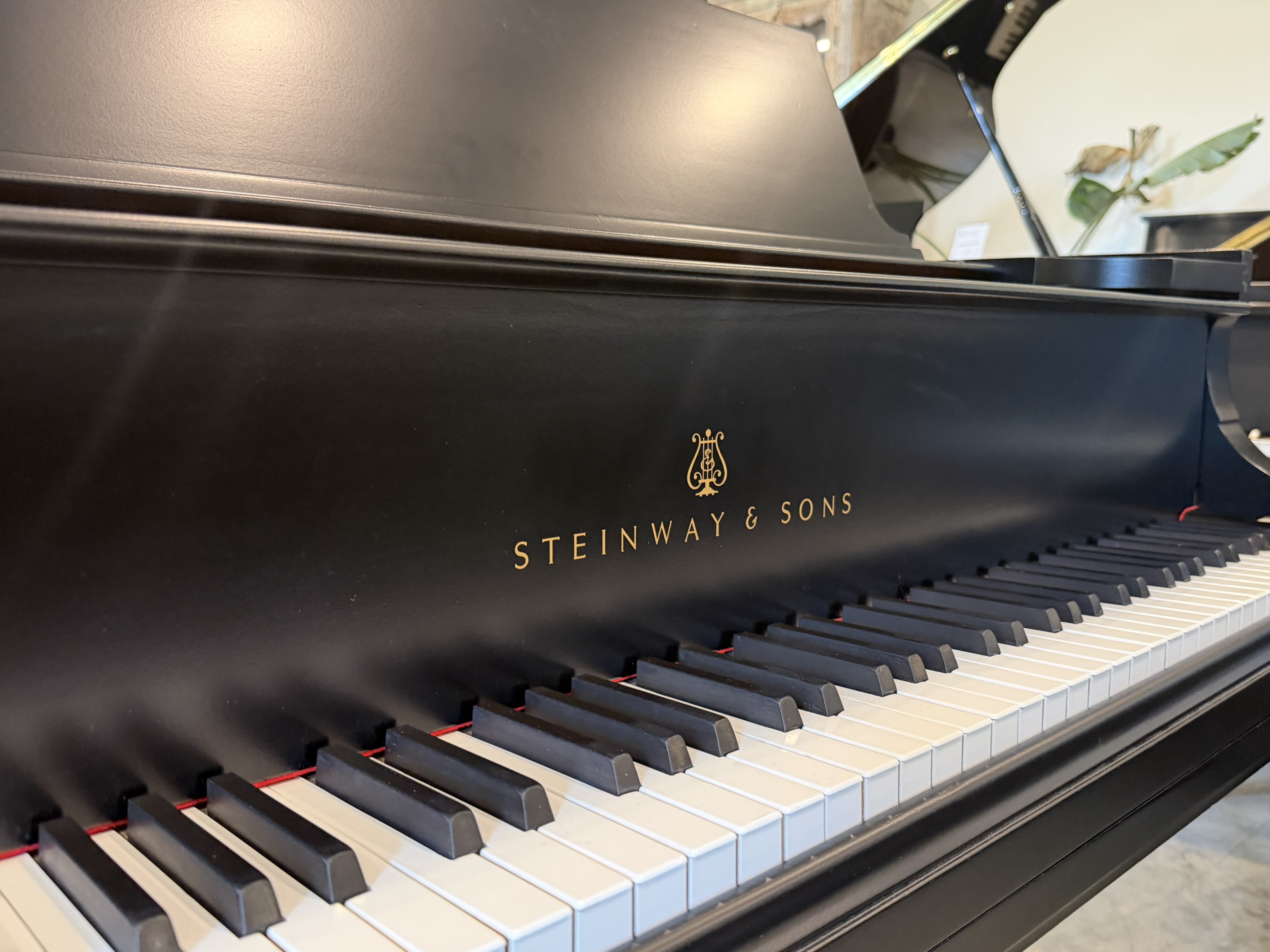 Steinway M in Ebony – Gallery image – Roberts Pianos Houston