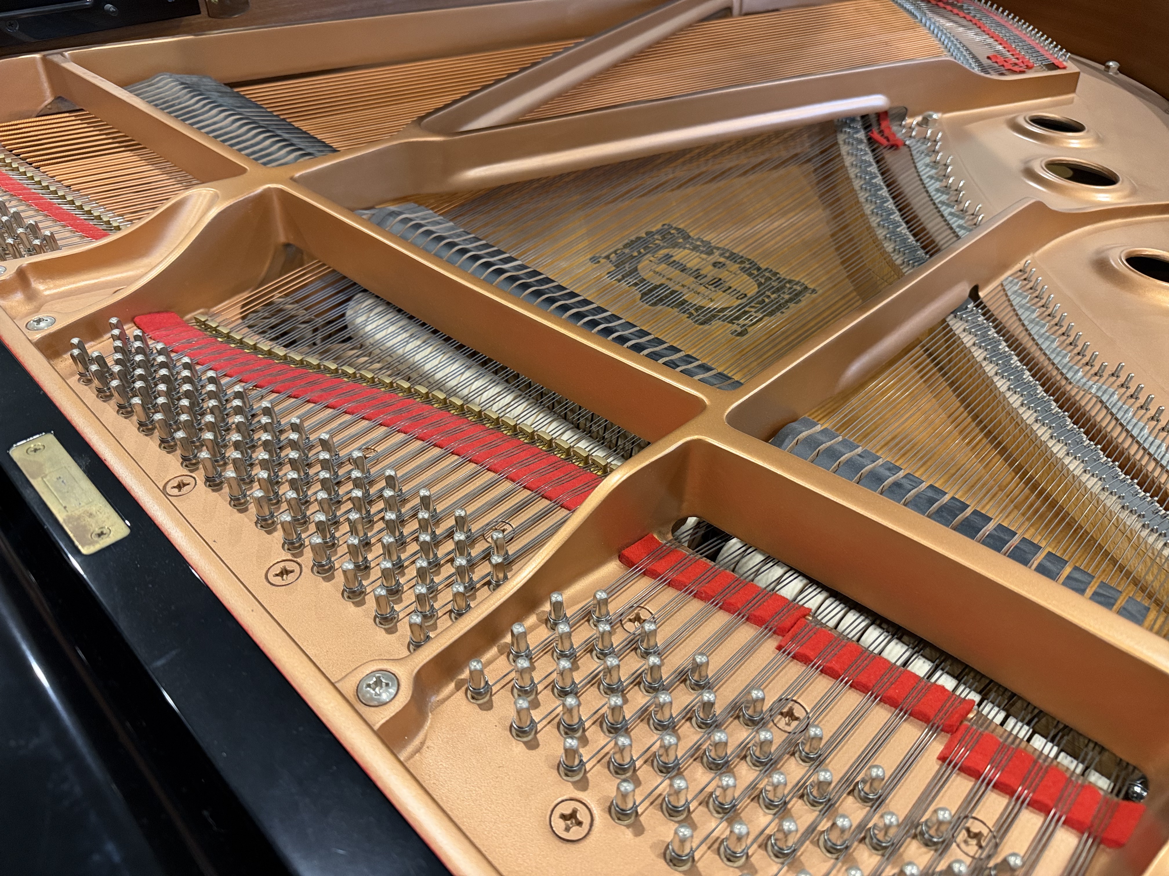 Yamaha C2 Grand Piano in Black Polyester – Gallery image – Roberts Pianos Houston