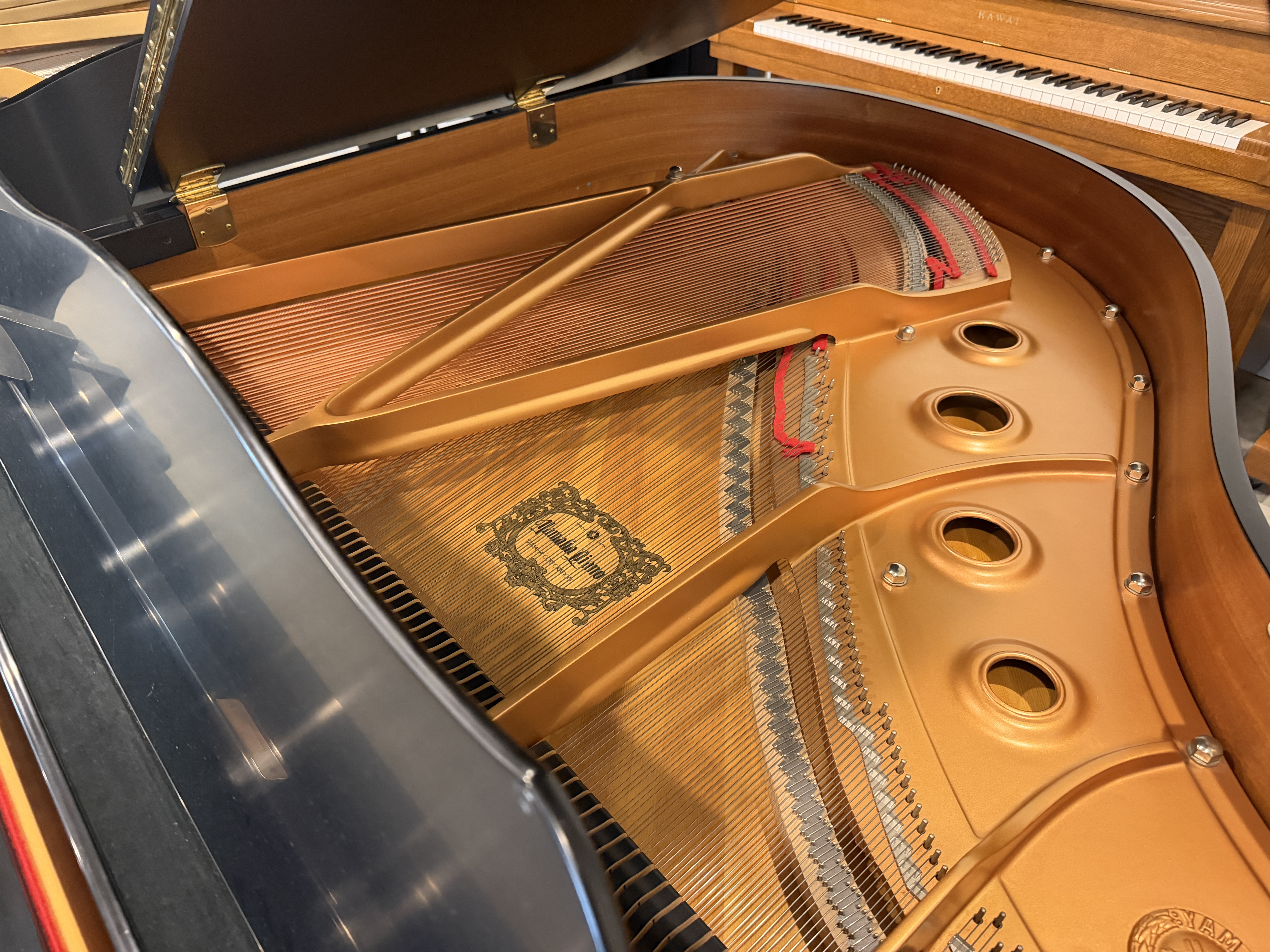 Yamaha C1 in Satin/Ebony – Gallery image – Roberts Pianos Houston