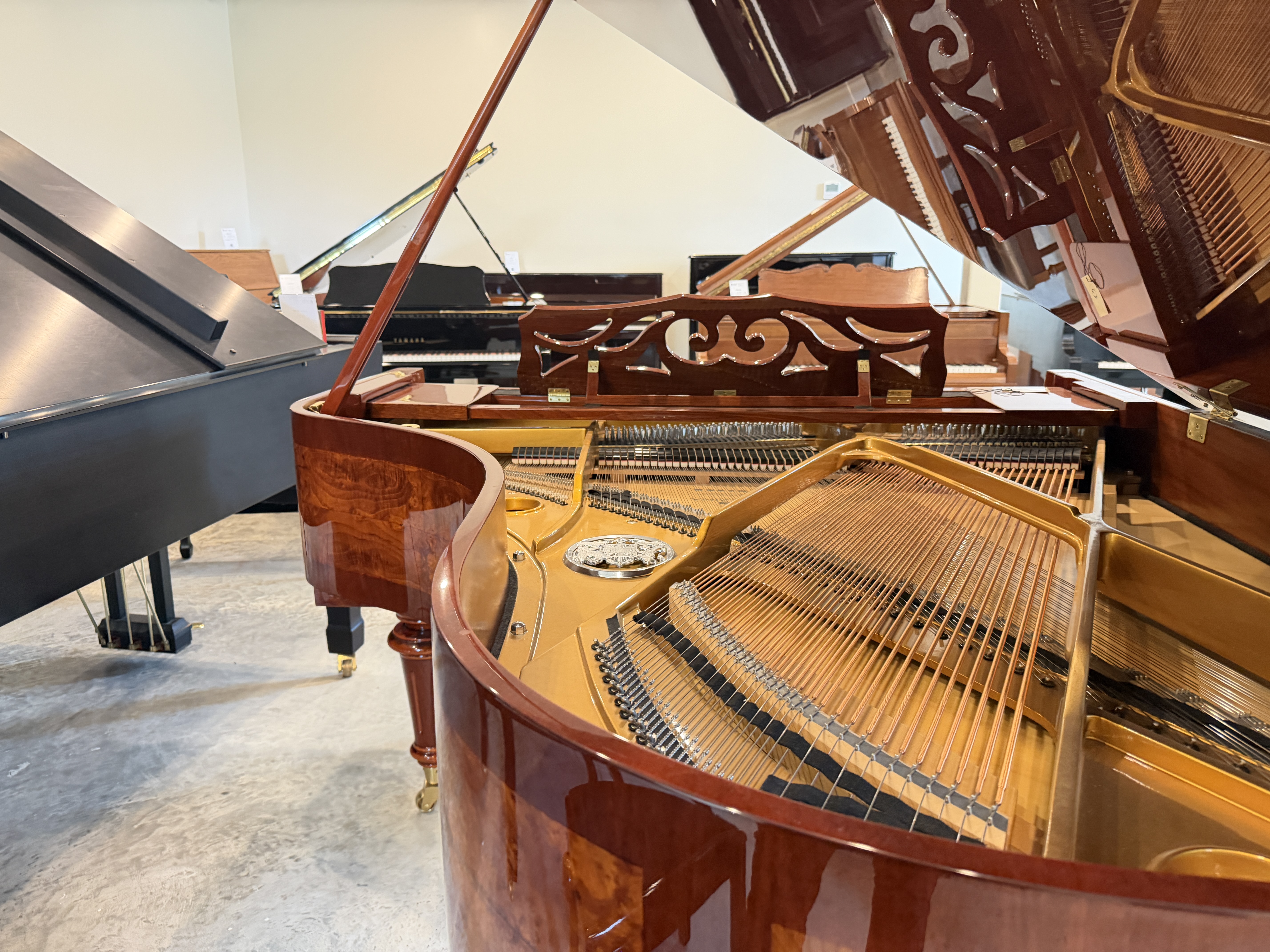 Perzina Gp187 Grand Piano in Walnut – Gallery image – Roberts Pianos Houston