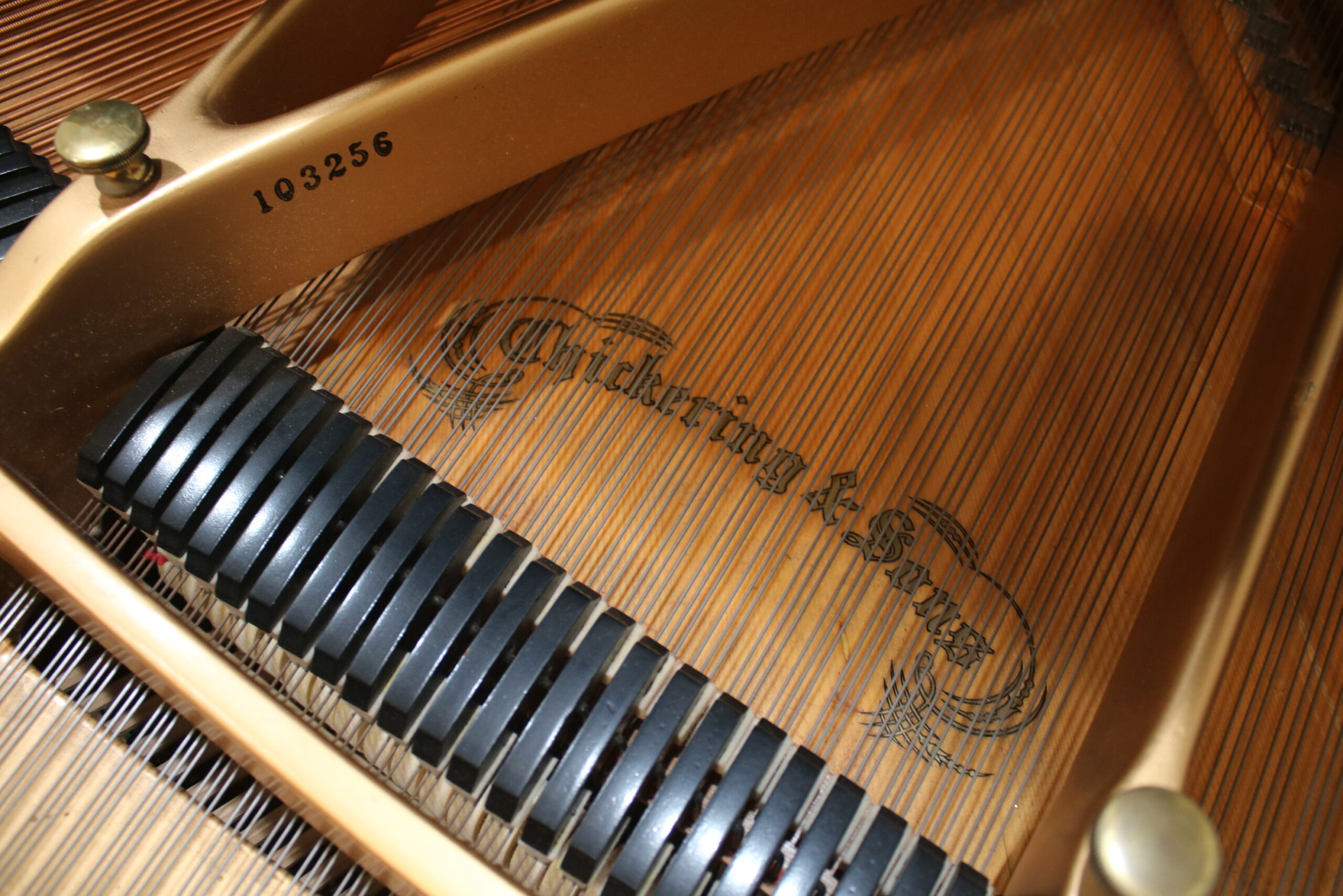 Chickering Grand Piano in Mahogany – Gallery image – Roberts Pianos Houston