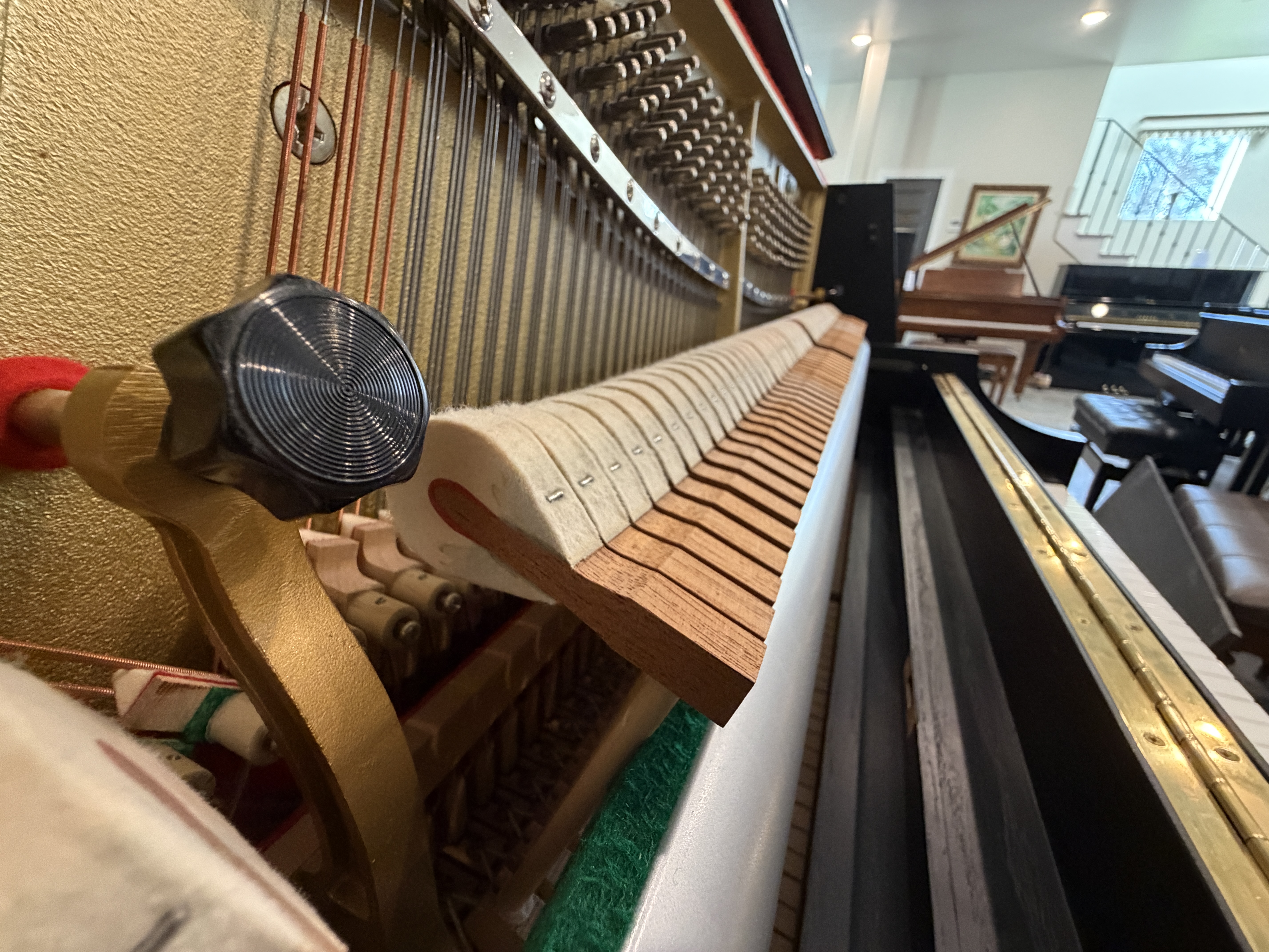 Boston UP-118 in Ebony – Gallery image – Roberts Pianos Houston