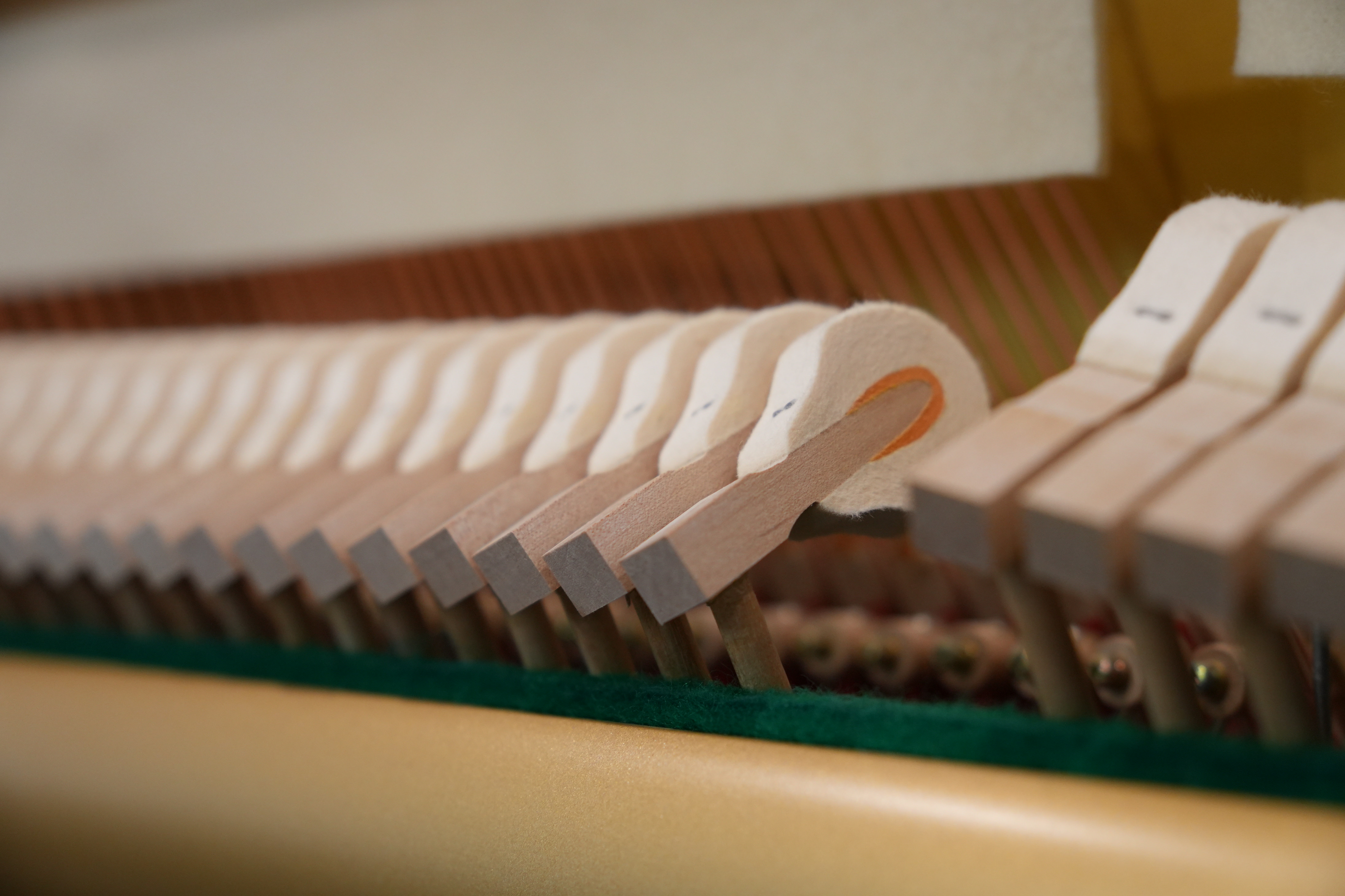 Yamaha U1