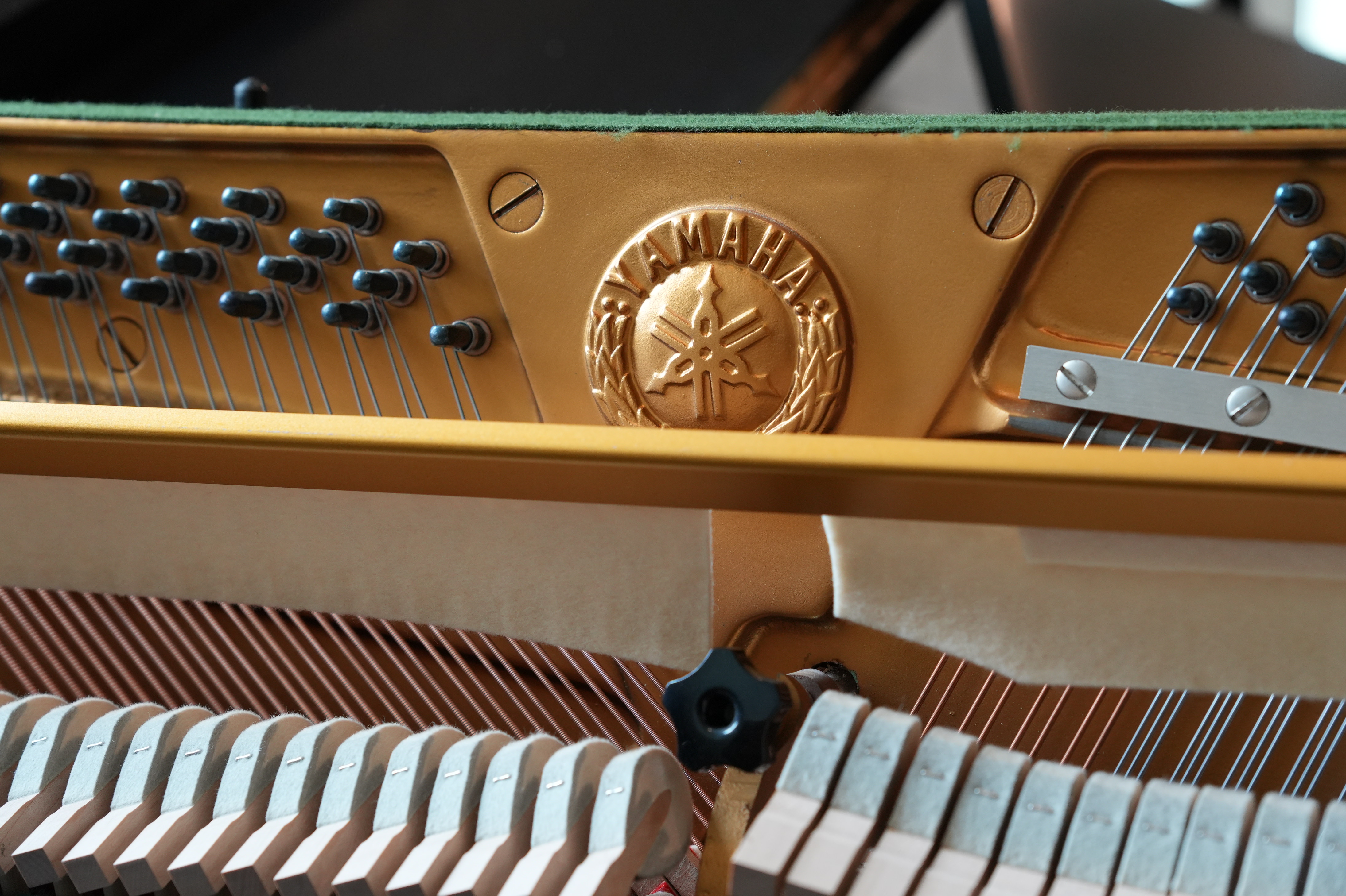 Yamaha in Ebony – Gallery image – Roberts Pianos Houston