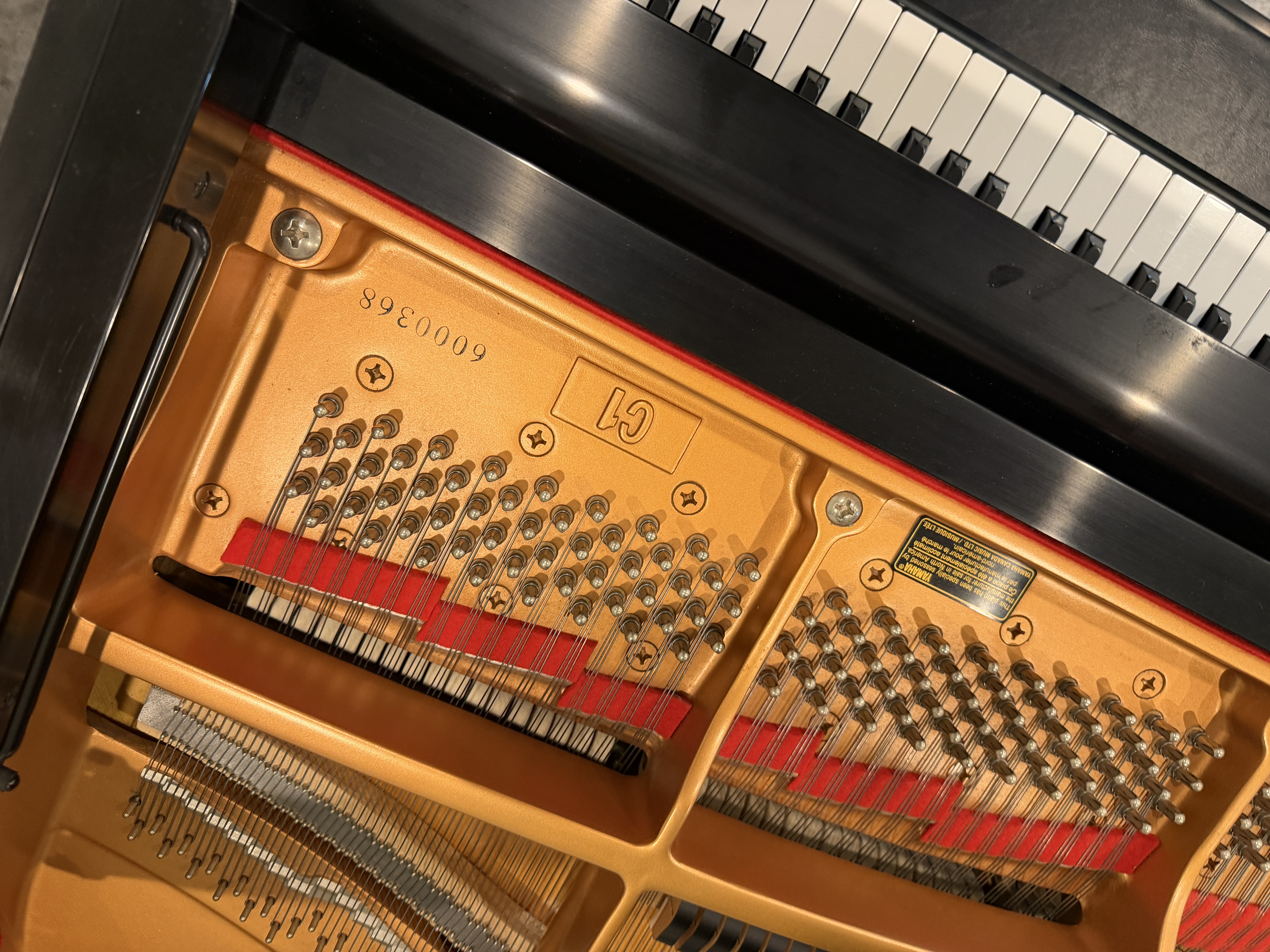 Yamaha C1 in Satin/Ebony – Gallery image – Roberts Pianos Houston