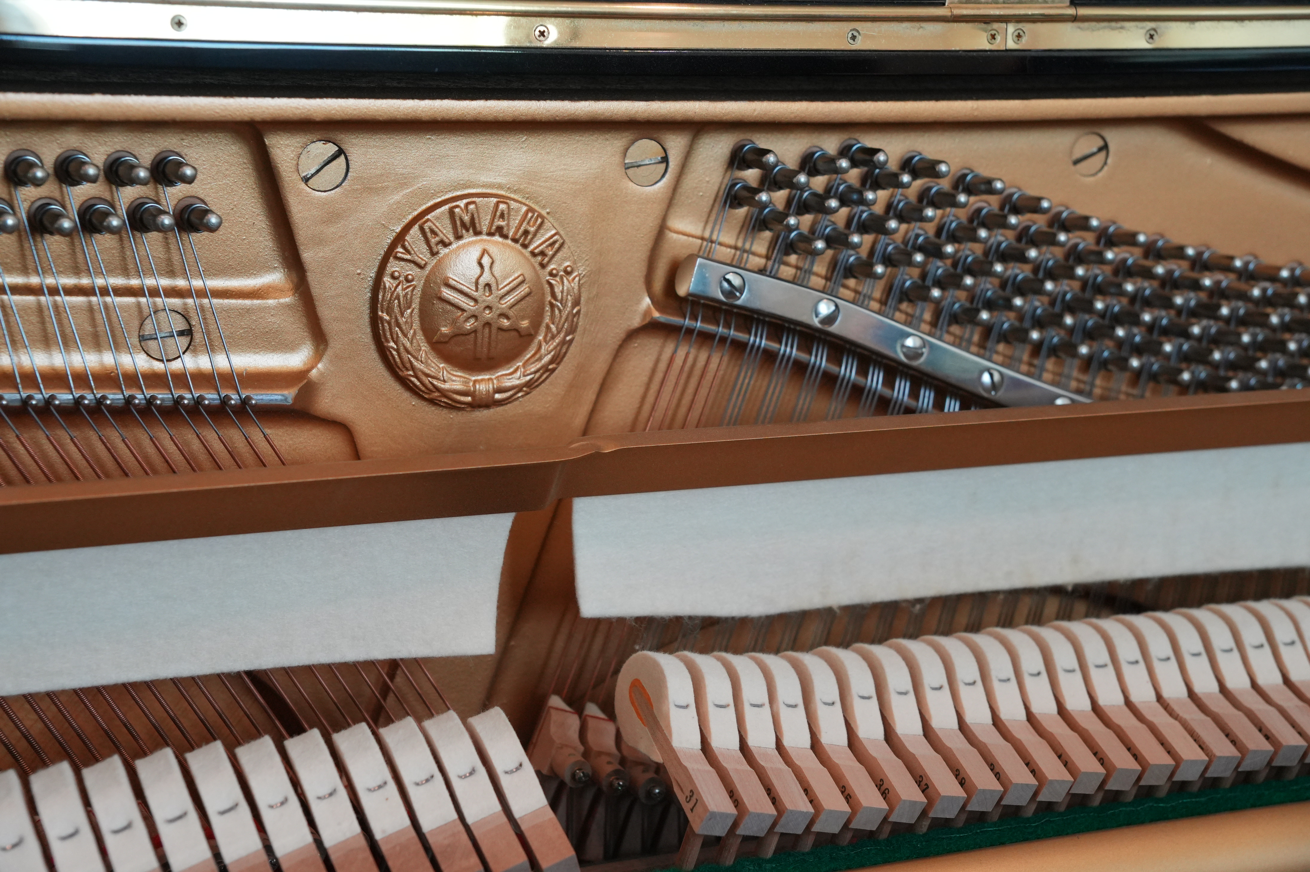 Yamaha U1