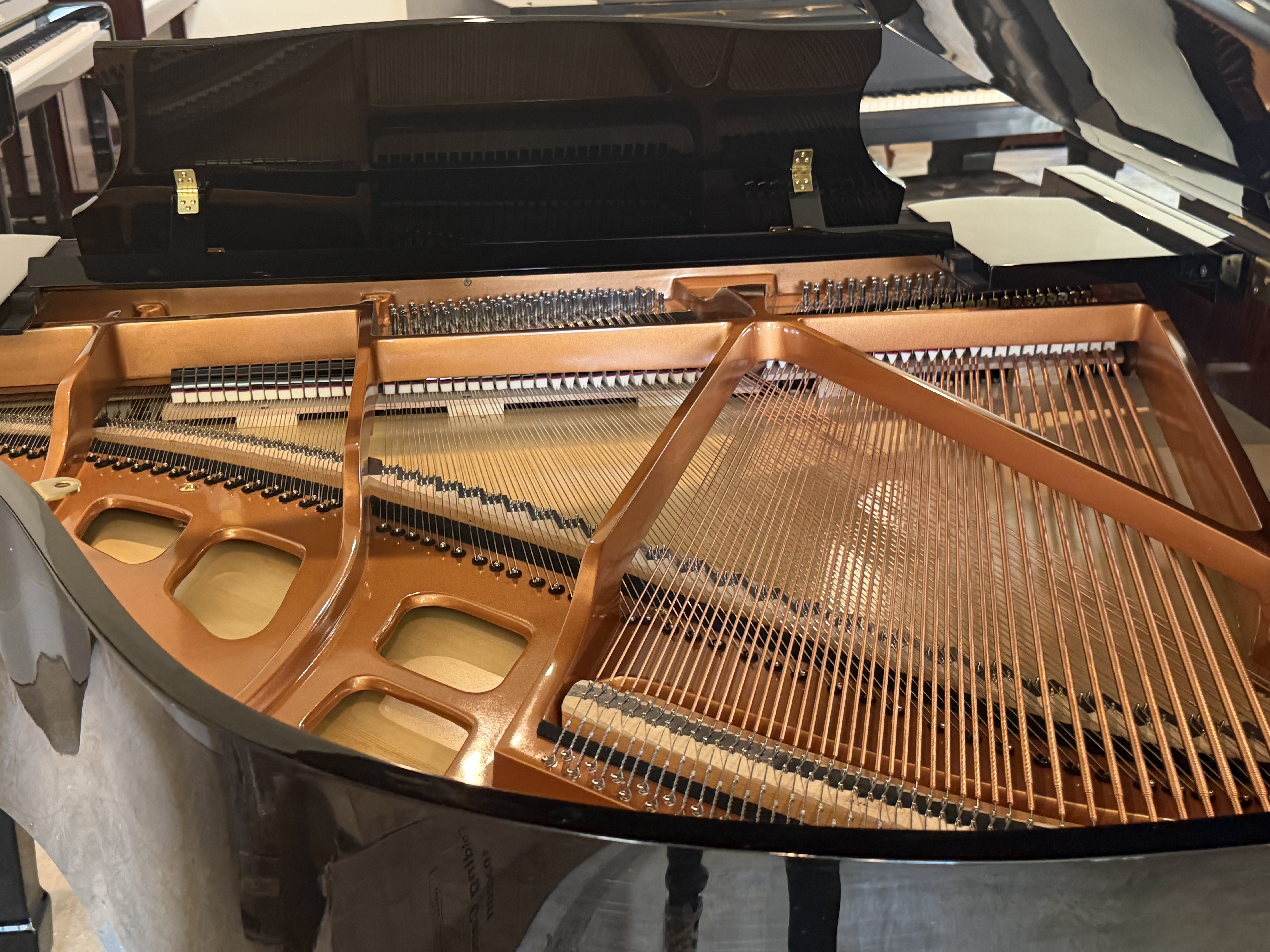 Gerbrüder Schulz GSG-150 Grand Piano – Gallery image – Roberts Pianos Houston