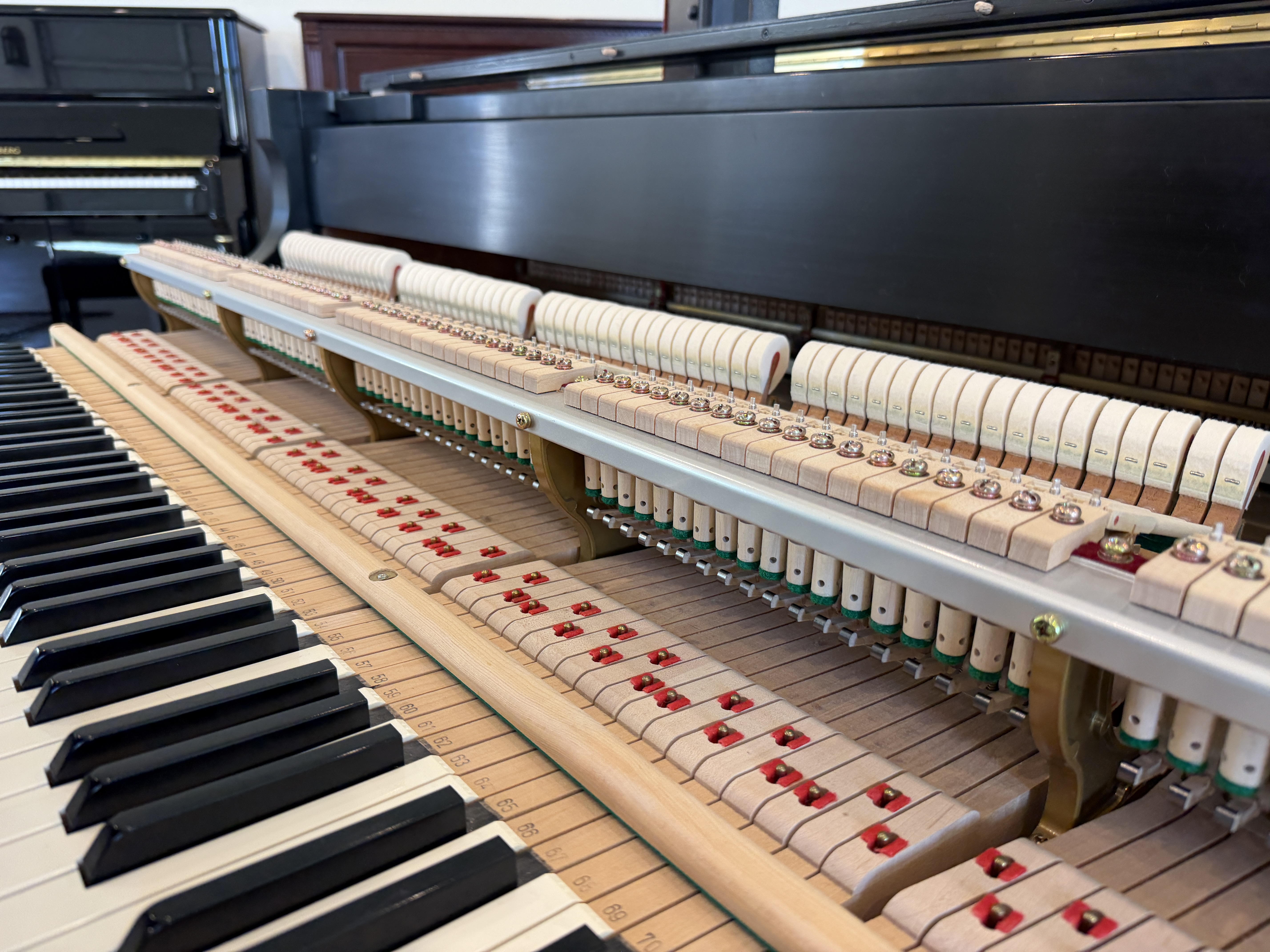 Action fully wooden parts no composite or carbon fibre