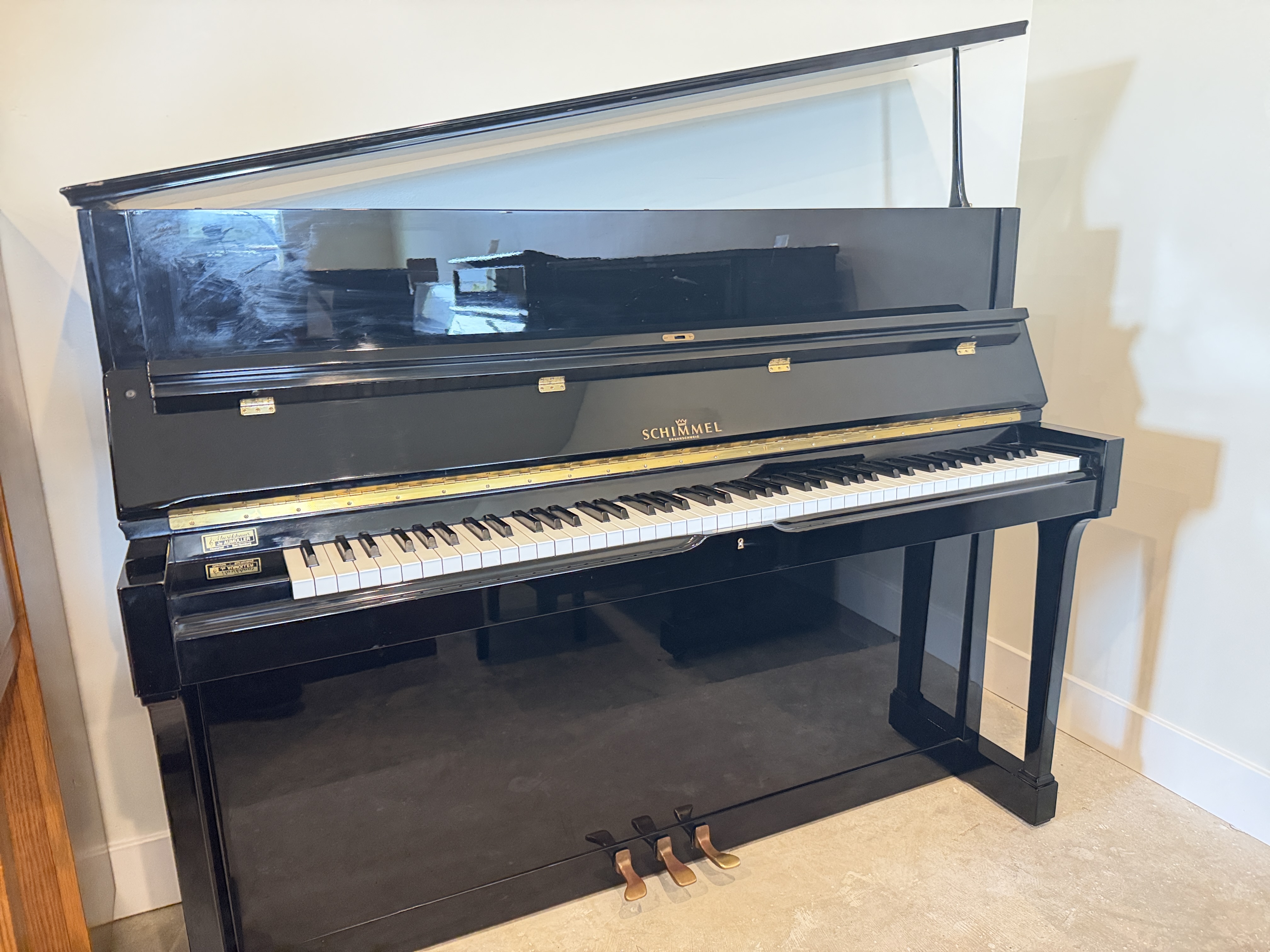 Schimmel 120
