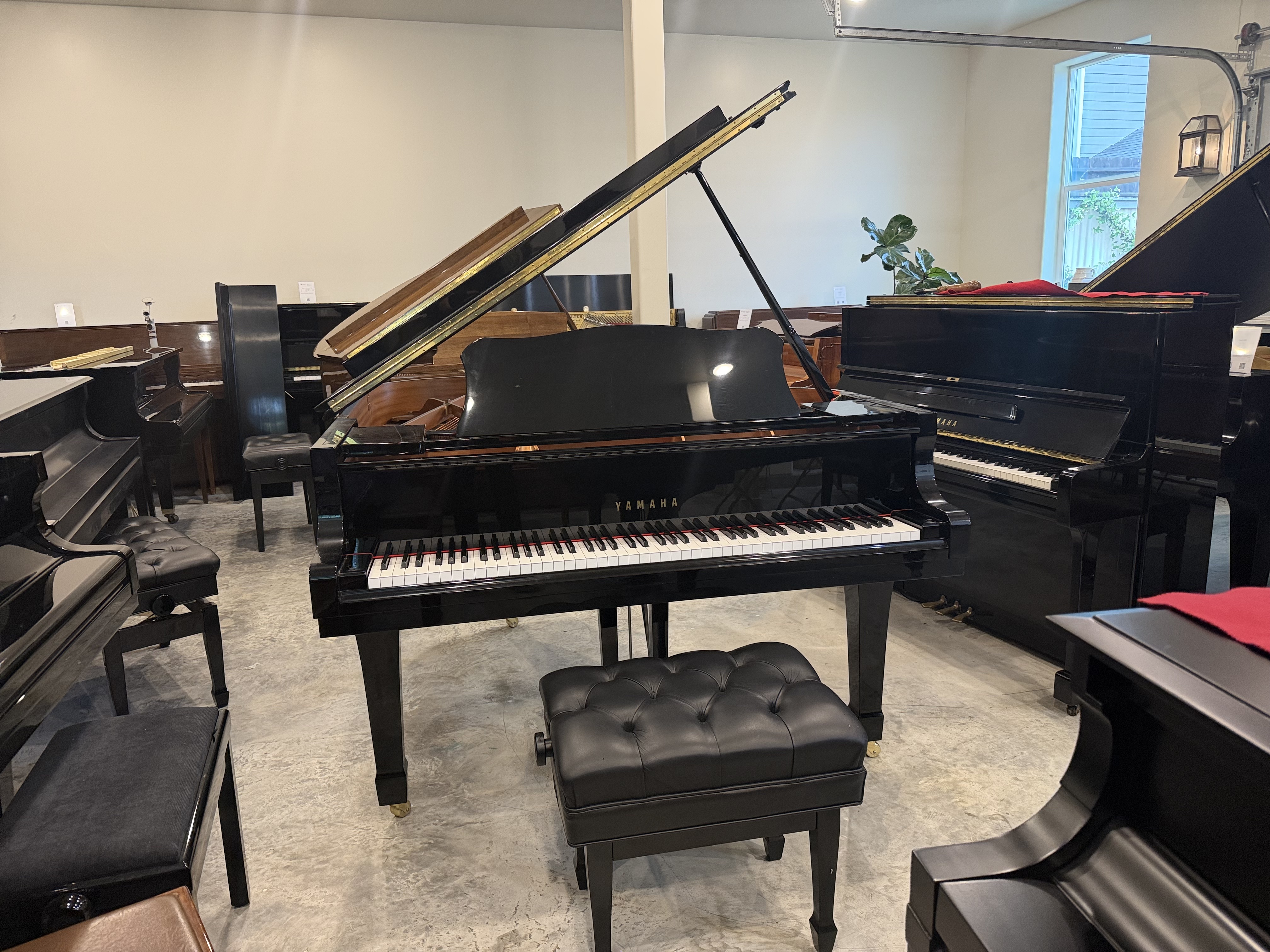 Yamaha C2 Grand Piano in Black Polyester – Featured image – Roberts Pianos Houston